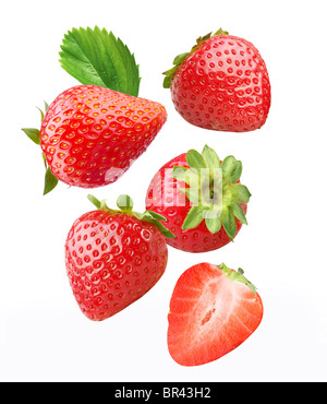 Fallende Erdbeeren. Isoliert auf weißem Hintergrund. Stockfoto