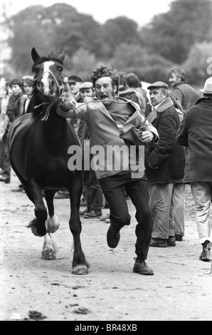 Appleby Horse Fair 1980er. Pferde, Zigeuner, die Pferde zeigen, die zum Verkauf stehen. Sie die Straße entlang laufen, um Geschwindigkeit und Beweglichkeit zu zeigen. Appleby in Westmorland, Cumbria UK 1981 HOMER SYKES Stockfoto