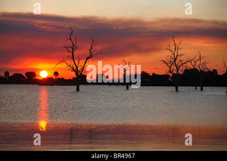 Sonnenuntergang am See Manze, Selous Game Reserve, Tansania Stockfoto