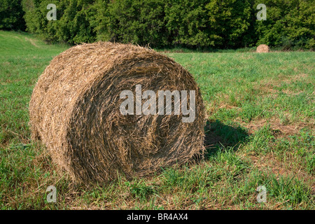 Ballen Heu Central Michigan USA Stockfoto