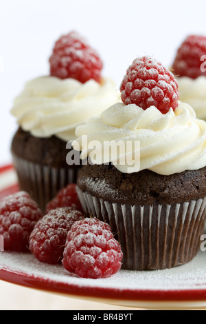 Himbeer-Schoko-Muffins Stockfoto