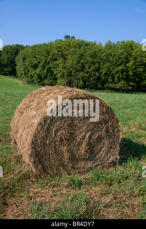 Ballen Heu Central Michigan USA Stockfoto