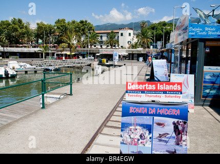 Eine verlassene Marina Funchal auf Madeira. Stockfoto