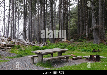 Eine leere Picknickplatz direkt vor dem Strand am Rialto Beach auf der Olympic Peninsula in der Nähe von La Push, Washington. Stockfoto