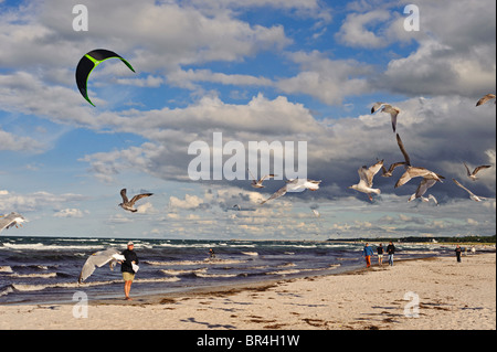 Prerow, Mecklenburg-Vorpommern, Deutschland Stockfoto