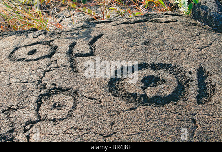Petroglyph, Mauna Loa Petroglyph Trail Stockfoto