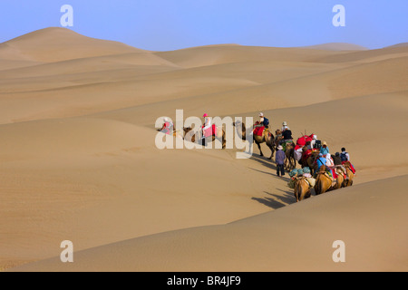 Kamel-Karawane mit Sanddüne in der Wüste, Aksu, Xinjiang, China Stockfoto