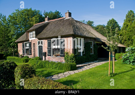 Weerribben Friesland Fryslan Niederlande Bauernhof Stockfoto