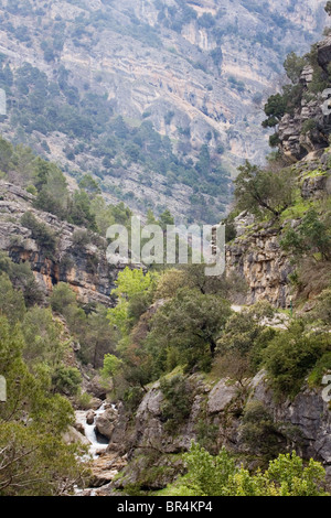 Fluss an einem Berghang Nationalpark Cazorla, Provinz Jaen, Andalusien, Spanien Stockfoto