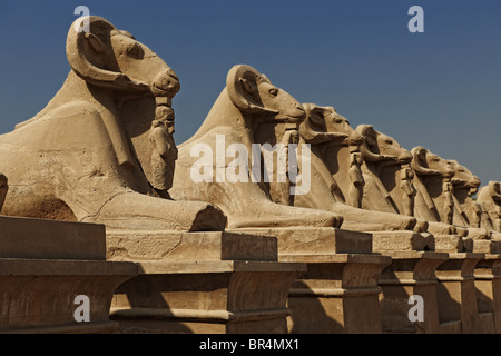 Tempel von Karnak, Ägypten, Afrika Stockfoto