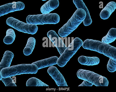 Bakterien-Abbildung Stockfoto