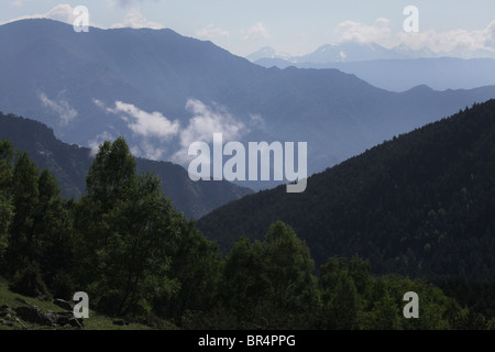 Steigender Nebel und niedrige Wolken wirbeln herum subalpine Wälder und Berge des Sant Maurici Nationalpark Pyrenäen Spanien Stockfoto