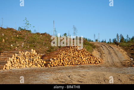 Holzstapeln und Forststraße auf ein finnisches klar Schneidbereich, Finnland Stockfoto