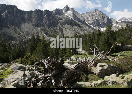 Mount Montanyo und Pic de Sudorn am Aufstieg vom Espot zur Estany Negre Sant Maurici Nationalpark Pyrenäen Spaniens Stockfoto