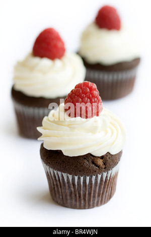 Himbeere und Schokolade Muffins Stockfoto