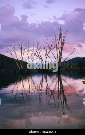 Buffalo See bei Sonnenuntergang, in der Nähe von Bright, Australien Stockfoto