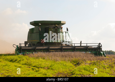 John Deere kombinieren beim Ernten von Weizen auf einem Feld Stockfoto