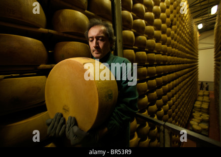 Parmesan Käse Bank in Italien. Stockfoto