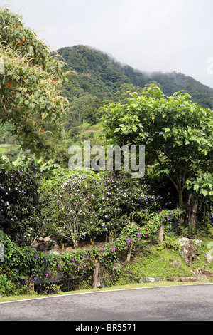 Landschaften der Provinz Chiriqui, orientalischen Region von Panama, in Boquete. Stockfoto