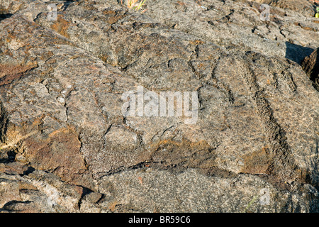 Petroglyph, Mauna Loa Petroglyph Trail Stockfoto