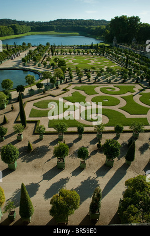 Versailles, Frankreich, Übersicht, Luftaufnahme, französischer Garten, Orangerie, im Chateau de Versailles, Landschaftsdesign Stockfoto