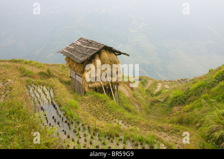 Eine kleine Hütte auf der Terrasse von Reis, Longsheng, Guangxi, China Stockfoto