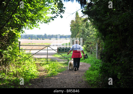 Maidenhead, Berkshire, England: Walker in der Berkshire-Landschaft Stockfoto