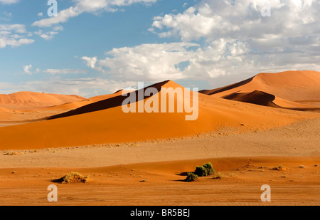 Die Dünen von Sossusvlei in der Wüste Namib Stockfoto