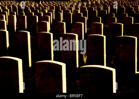 Soldatenfriedhof in der Nähe von Delville Wood, Tal der Somme, Frankreich. Stockfoto