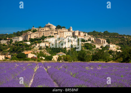 Europa, Frankreich, Alpes-de-Haute-Provence (04), Lavendel Feld vor Simiane La Rotonde, Stockfoto
