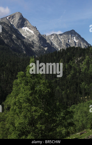 Mount Montanyo und Pic de Sudorn am Aufstieg vom Espot zur Estany Negre Sant Maurici Nationalpark Pyrenäen Spaniens Stockfoto