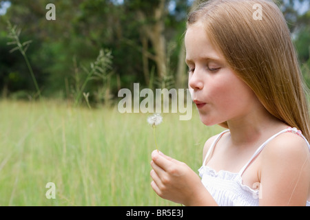 Junges Mädchen in einem Feld stehen und bläst einen Löwenzahn Taraxacum Stockfoto