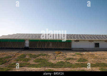 Strom, die Umwandlung von Sonnenkollektoren auf dem Dach ein Türkei-Coop Stockfoto