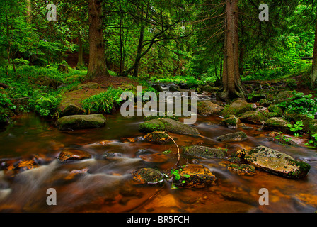 Ein Gebirgsbach laufen zwischen mossed Steinen hinab ins Tal. Stockfoto