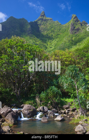 Kauai, HI: Limahuli Garten, National Tropical Botanical Garden Stockfoto