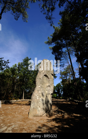 Frankreich, Bretagne, Morbihan, Carnac, Menhir Geant du Manio Stockfoto