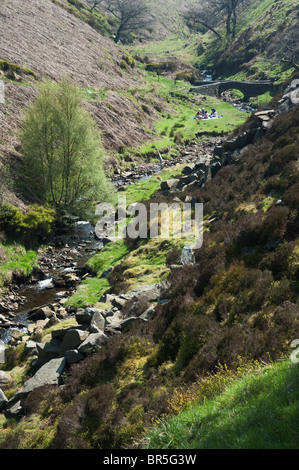 Das Tal des Flusses Goyt Peak District Nationalpark Derbyshire Midlands England Großbritannien Stockfoto