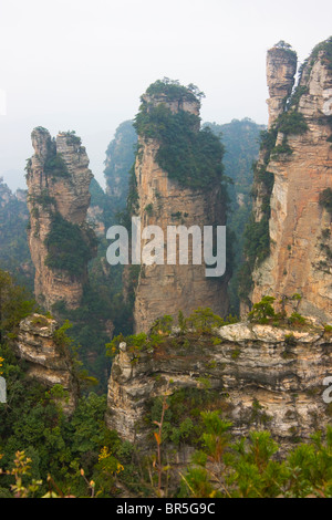 Berggipfel, Zhangjiajie National Forest Park, Wulingyuan Scenic Area, Provinz Hunan, China Stockfoto