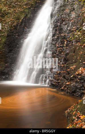 Fallen können Beck, Sneaton Wald, North Yorkshire, Foss Wasserfall, Herbst Stockfoto