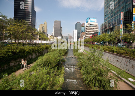 Wasser und Grün des Wildbaches Cheonggyecheon, Seoul, Südkorea. Stockfoto