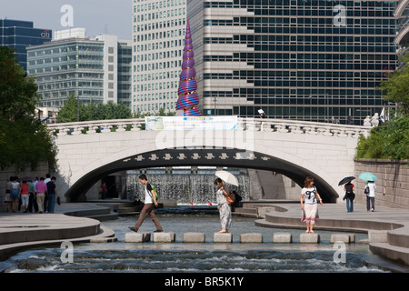 Wasser und Grün des Wildbaches Cheonggyecheon, Seoul, Südkorea. Stockfoto