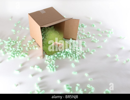 Hund läuft aus der Schifffahrt Paket Stockfoto