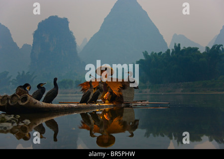 Fischer trägt Stroh Mantel mit Kormorane Fischen auf Bambus-Floß auf Li-Fluss in der Abenddämmerung, Yangshuo, Guangxi, China Stockfoto