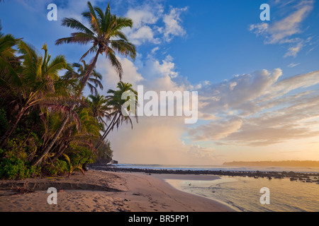 Kauai, HI Sonnenaufgang Wolken und überhängenden Palmen auf Hanalei Bay in der Nähe von Makahoa Punkt Stockfoto