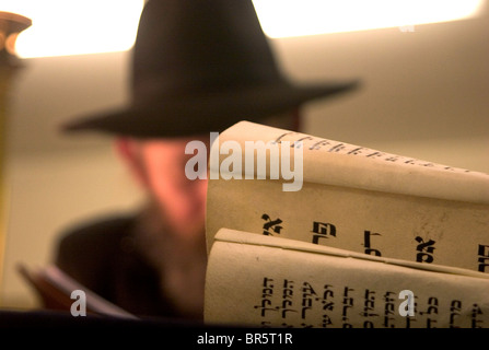 Ein UN-identifizierten orthodoxer Jude liest die Megillah "Scroll von Esther" während des jüdischen Festivals von Purim. Stockfoto