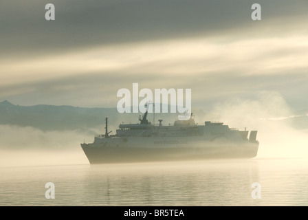 Fähre im Nebel am frühen Morgen, Wellington Harbour, Nordinsel, Neuseeland Stockfoto