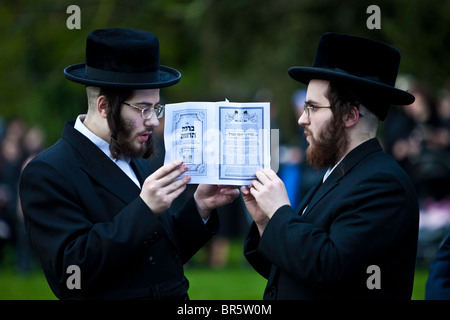 Zwei orthodoxe jüdische Männer beten aus dem gleichen Gebet-Buch in Stamford Hill, um das Festival von Birkat Hachama zu feiern. Stockfoto