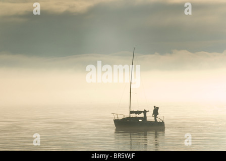 Mann auf Yacht in Nebel, am frühen Morgen, Wellington Harbour, Nordinsel, Neuseeland Stockfoto