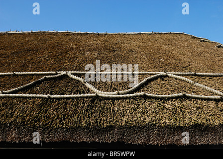 Detail von einem Strohdach einer Hütte in Llanon, Wales. Stockfoto