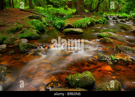 Ein Gebirgsbach laufen zwischen mossed Steinen hinab ins Tal. Stockfoto